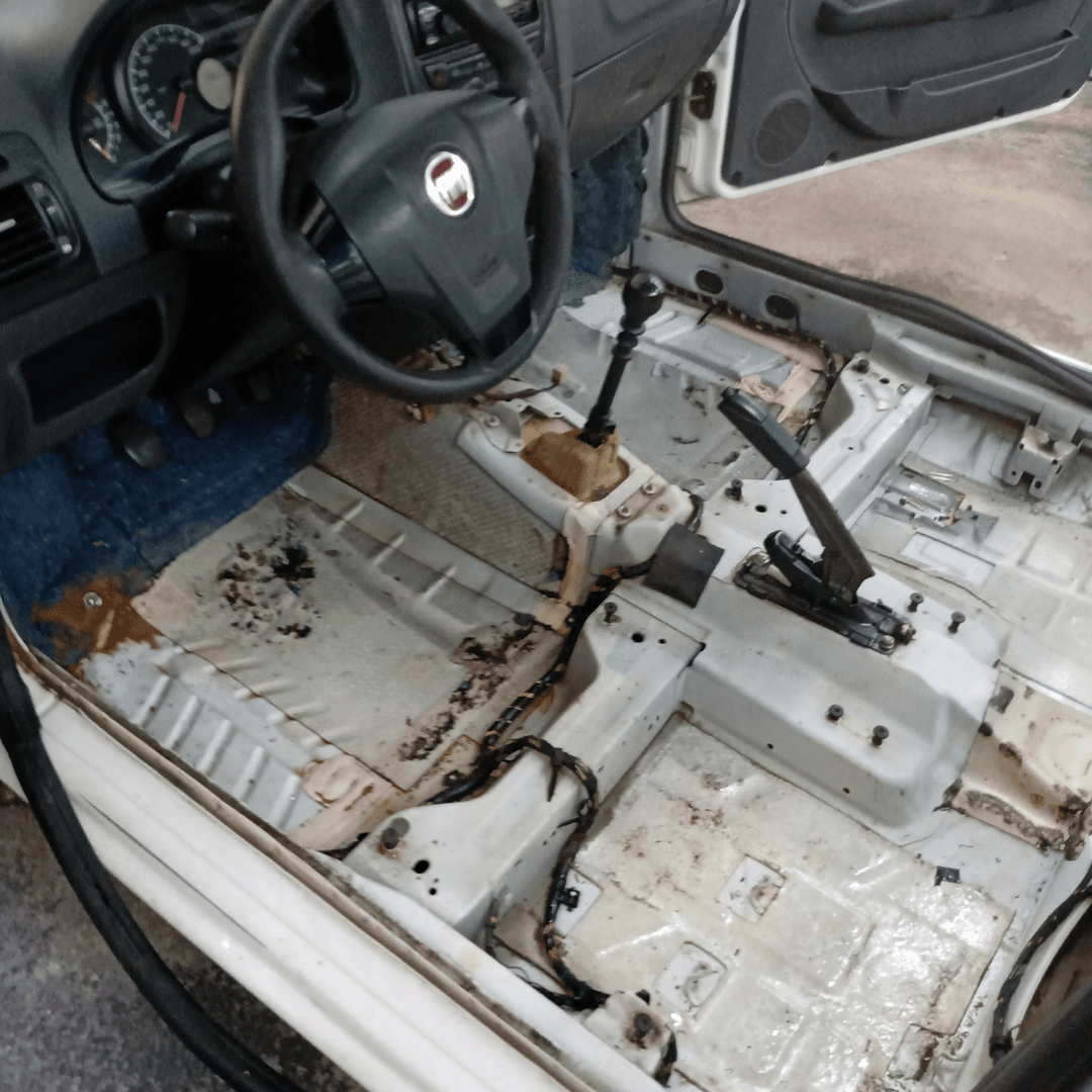 Higienização Completa